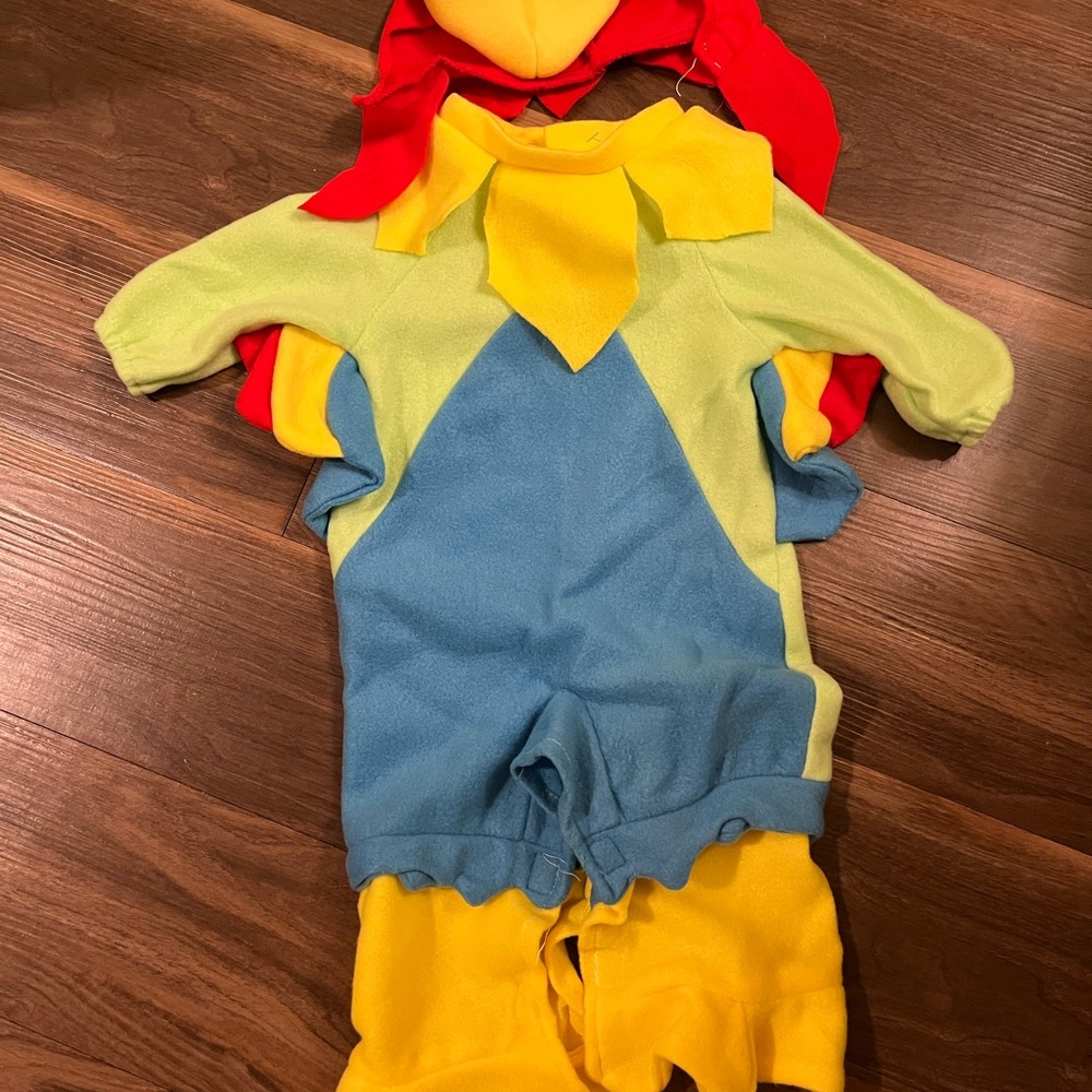 Colorful Parrot Kids Costume